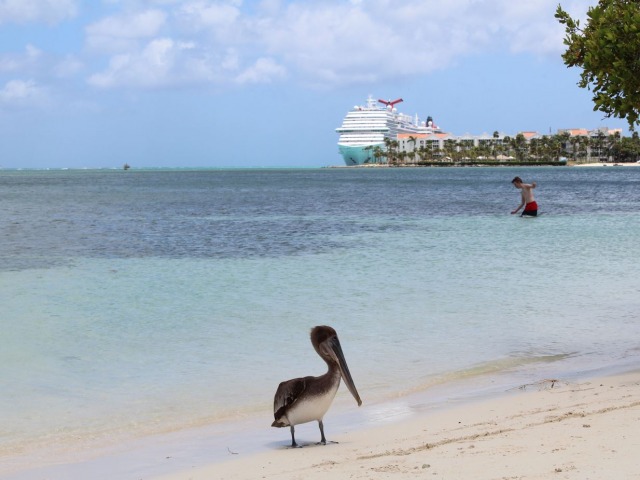 Viajar a Aruba, la isla del verano eterno